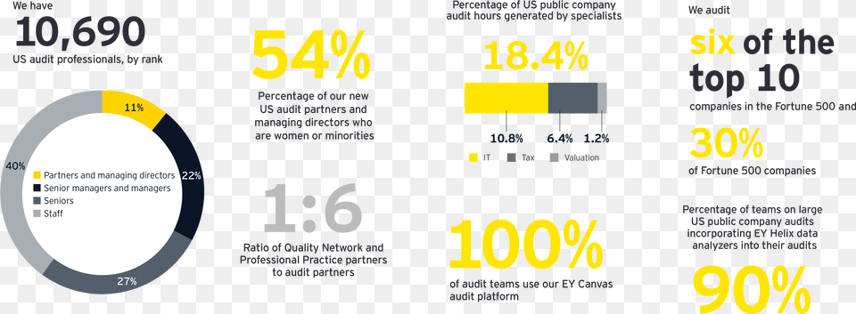 Us Professionals Ey Audit Quality, Advertisement, Text, Poster, Scoreboard Free Transparent Png