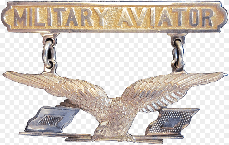 Usa Aviator Wings 1913 Aviation Section Of The Signal Corps, Bronze, Accessories, Emblem, Symbol Free Png