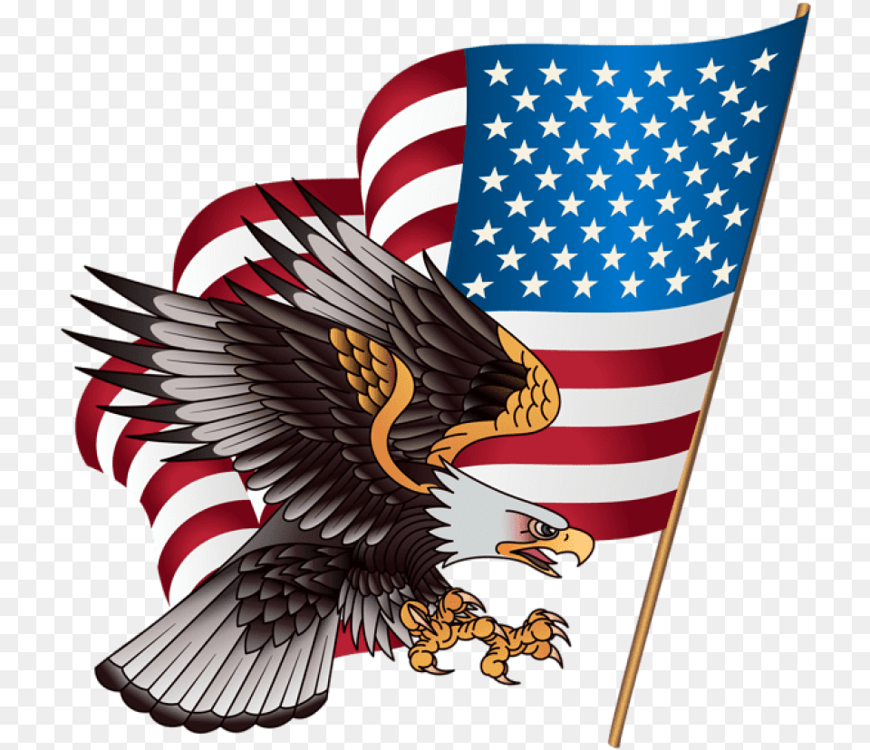 Usa Clipart American Flag Eagle Many Stars Are On The American Flag, American Flag, Animal, Bird Png Image