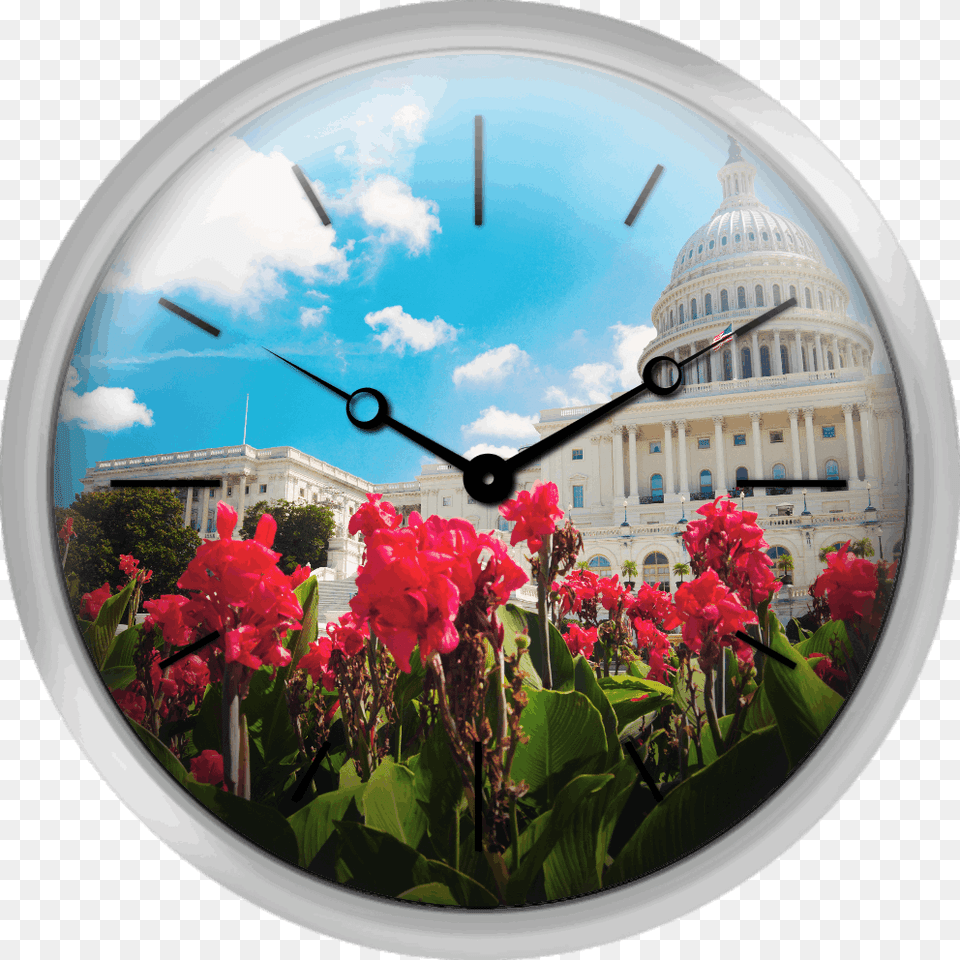 Usa Columbia Washington Dc Capitol Building America Calendars By Tf Publishing America 2018 Wall, Flower, Geranium, Petal, Photography Free Png Download