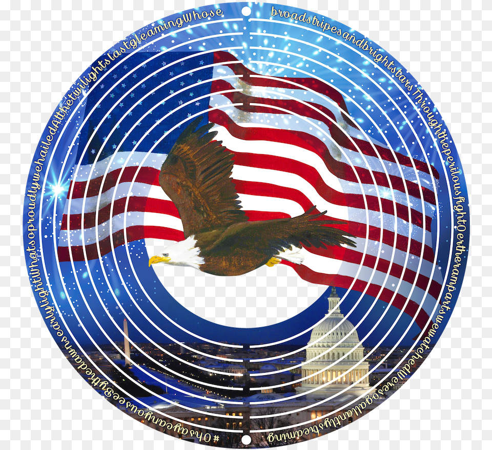 Usa Eagle, Animal, Bird Free Transparent Png