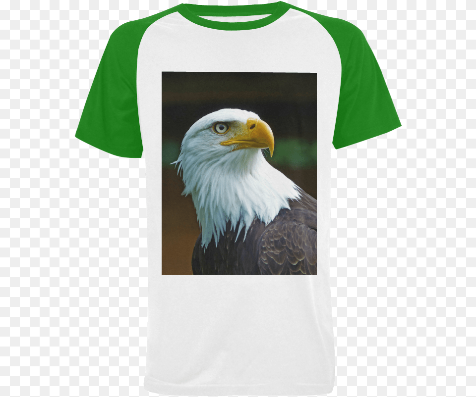 Usa Eagle American Bald Eagle Head, Clothing, T-shirt, Animal, Bird Free Transparent Png