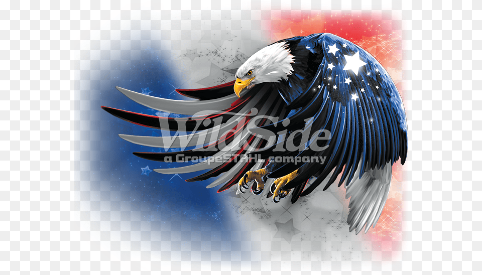 Usa Eagle Flying Red White Amp Blue United States, Animal, Bird, Beak, Bald Eagle Png Image