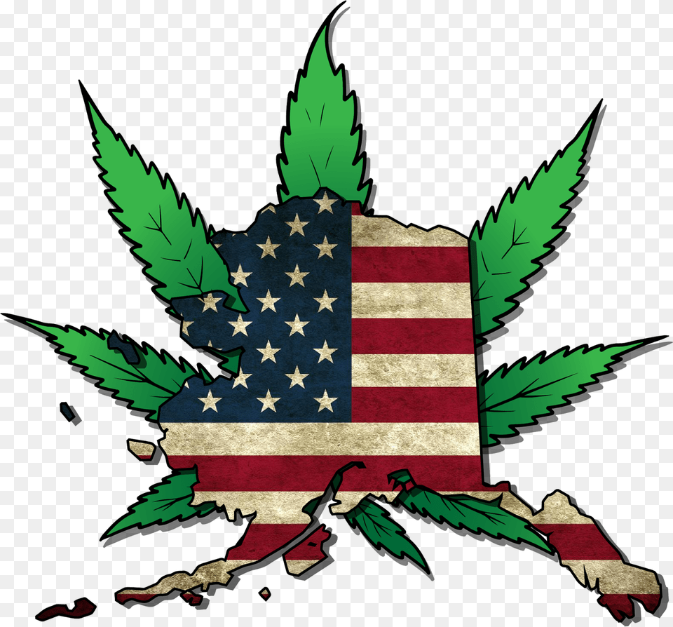 Usa Flag, American Flag, Leaf, Plant, Baby Png