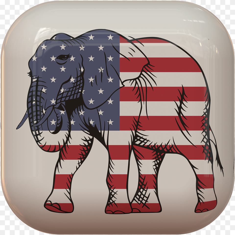 Usa Flag, Animal, Mammal, Wildlife, Baby Free Transparent Png