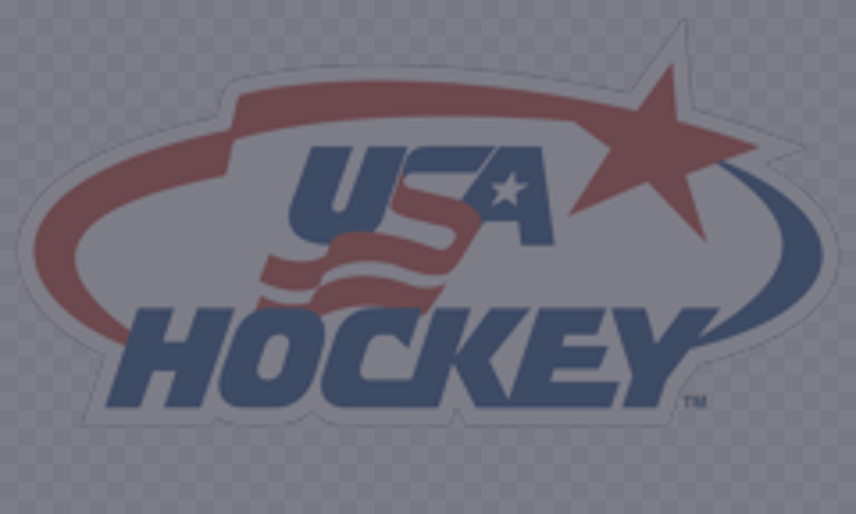 Usa Hockey Registration Team Hockey Usa, Logo Free Png Download