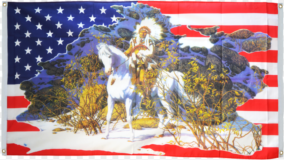 Usa With Indian Chief Flag For Balcony Bev Doolittle Art, Animal, Mammal, Horse, Adult Free Png