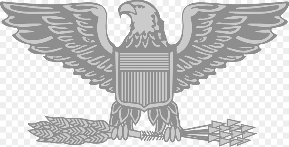 Usaf Colonel Rank Insignia, Emblem, Symbol, Animal, Bird Png