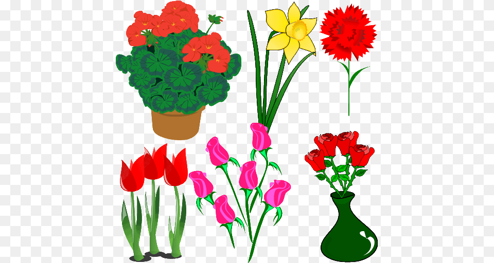 Usar Cliparts, Art, Plant, Graphics, Flower Free Png
