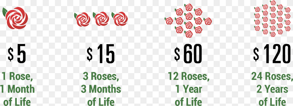 Usd Donation Suggestions 5 15 60, Scoreboard, Flower, Plant, Rose Png