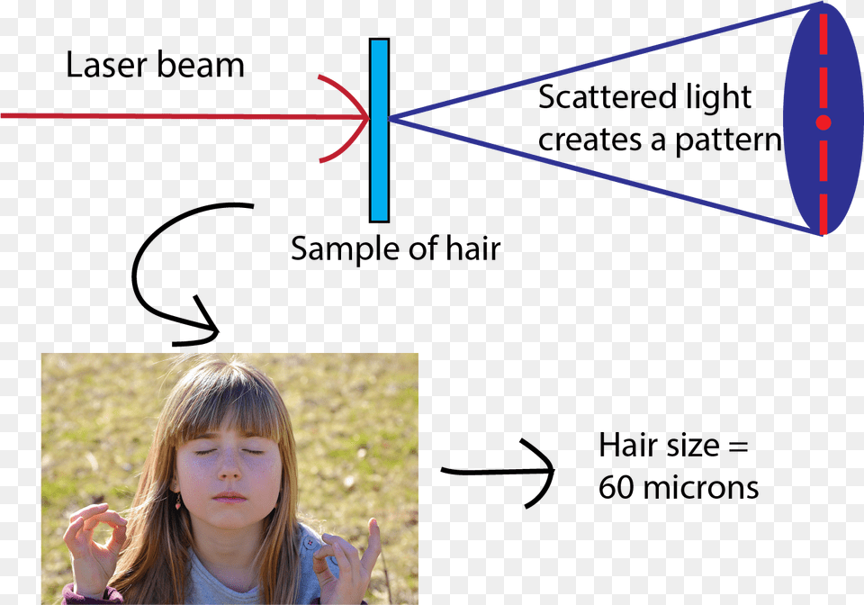 Use A Laser Pointer To Measure The Thickness Of Your Hair Measure Thickness Of Hair, Child, Person, Female, Girl Free Png Download