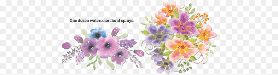 Use All Of These For Greeting Card Designs Mousepads Guest Book Floral Watercolor Guest Book Book, Plant, Pattern, Graphics, Flower Free Transparent Png