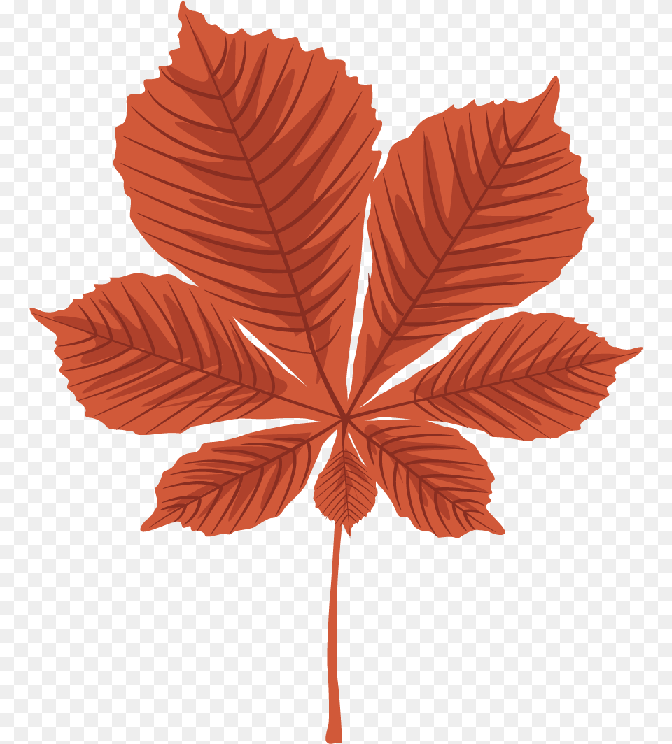 Use Autumn Leaves, Leaf, Plant, Tree, Person Free Png Download