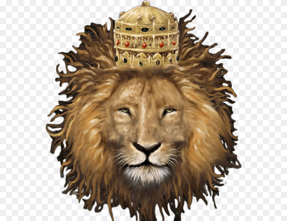 Use This Space Instead To Clue In Reggaeriver Lion Reggae, Accessories, Animal, Mammal, Wildlife Png Image