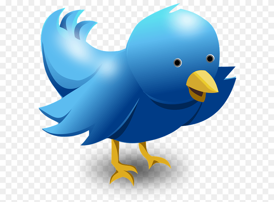 Use Twitter To Get More Tourists Cartoon Twitter Bird, Animal, Beak, Fish, Sea Life Free Png