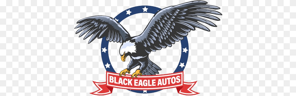 Used Cars Arlington Tx U0026 Trucks Black Eagle Logo Eagle, Animal, Bird, Vulture, Beak Free Transparent Png