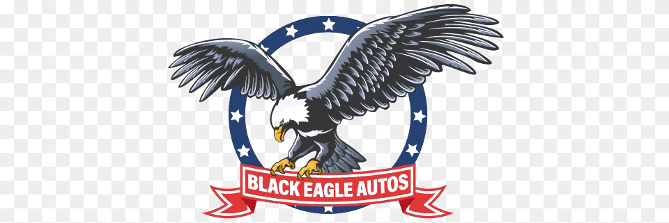 Used Cars Trucks Tx Eagle Symbol America, Animal, Bird, Dinosaur, Reptile Png Image