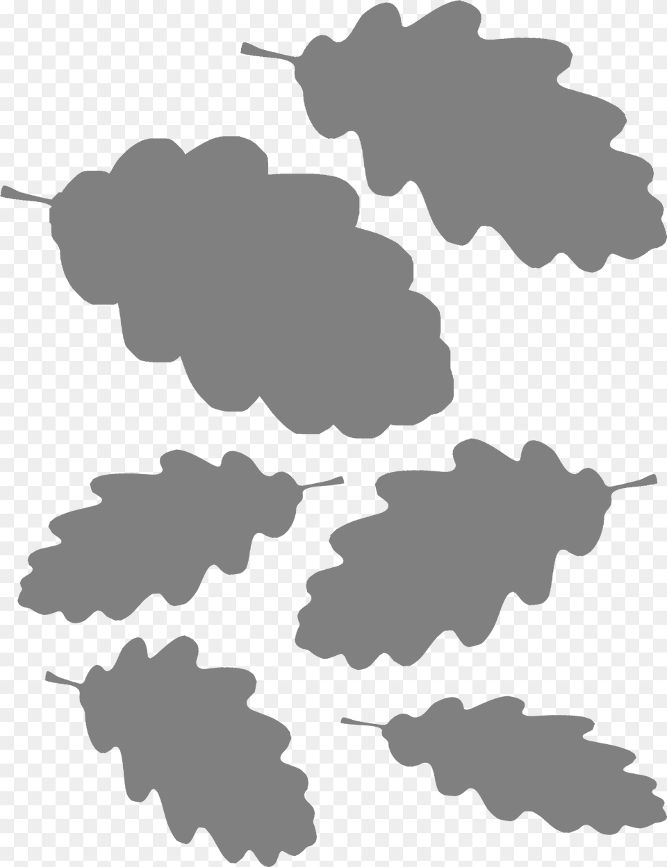 Useful Oak Leaf Template Oak, Plant Free Transparent Png