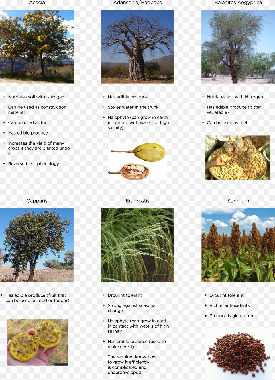 Useful Plants For Environment, Clothing, Costume, Person, Book Free Png