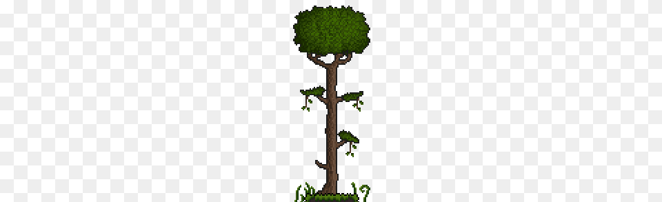 User, Plant, Tree, Vegetation, Cross Free Transparent Png
