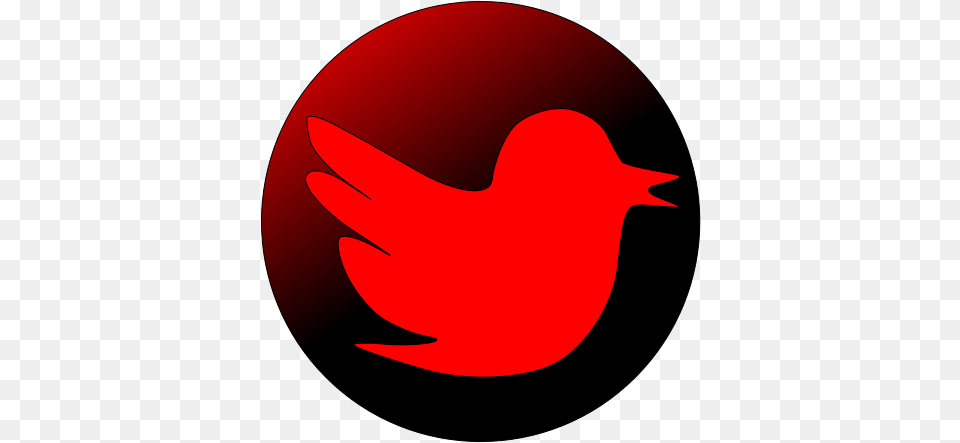 User Account Red Twitter Icon Logo, Animal, Fish, Sea Life Free Transparent Png