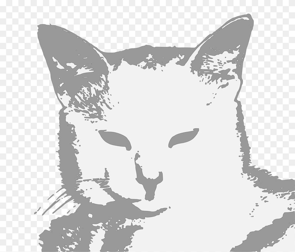 User Coolcat Clipart, Animal, Cat, Mammal, Pet Free Transparent Png