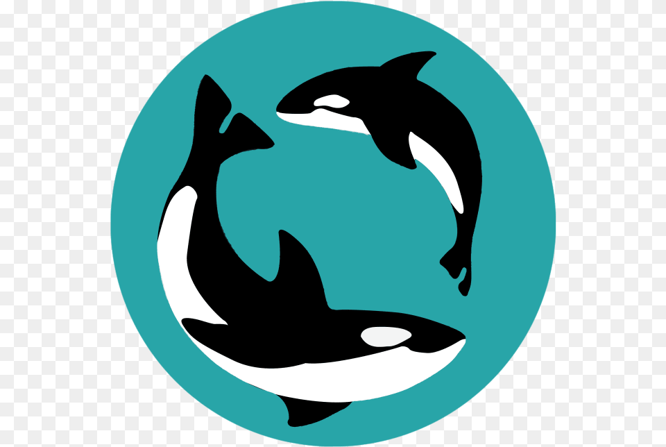 Username Is Out Of Office Killer Whale, Animal, Sea Life, Dolphin, Mammal Free Png Download