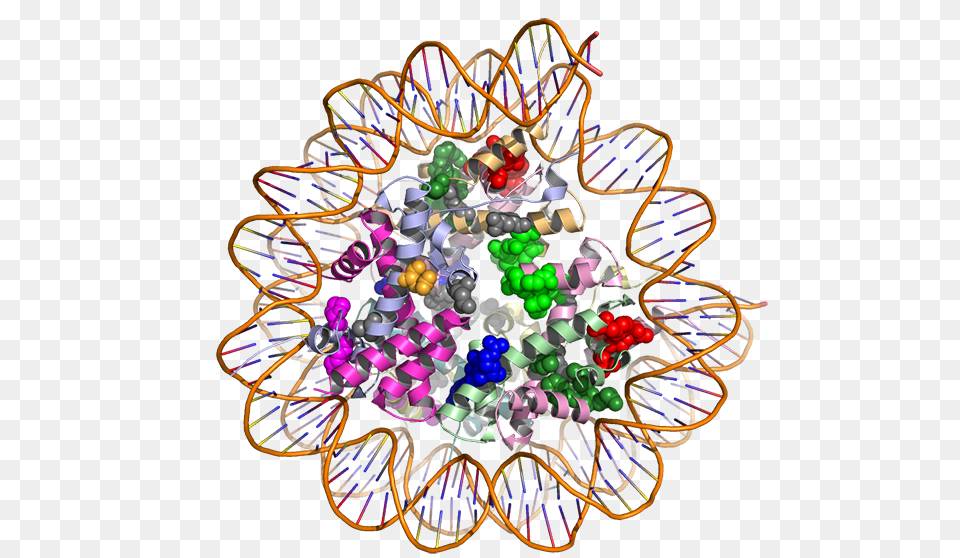 Using D Models Of Proteins To Find Treatments For Cancer, Accessories, Art, Graphics, Pattern Png Image