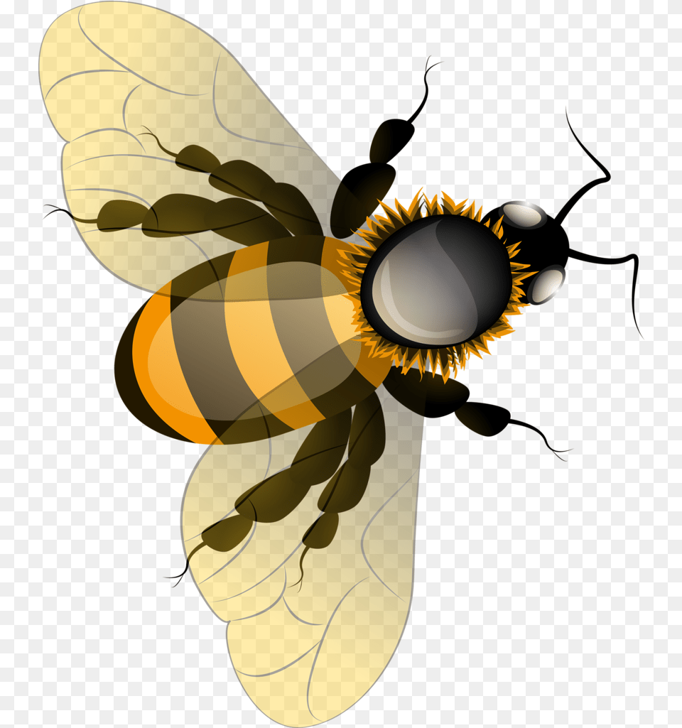 Utah Clipart Honey Bee Nest Honey Bee, Animal, Honey Bee, Insect, Invertebrate Free Transparent Png