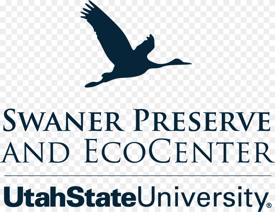 Utah State University, Animal, Bird, Waterfowl, Goose Png