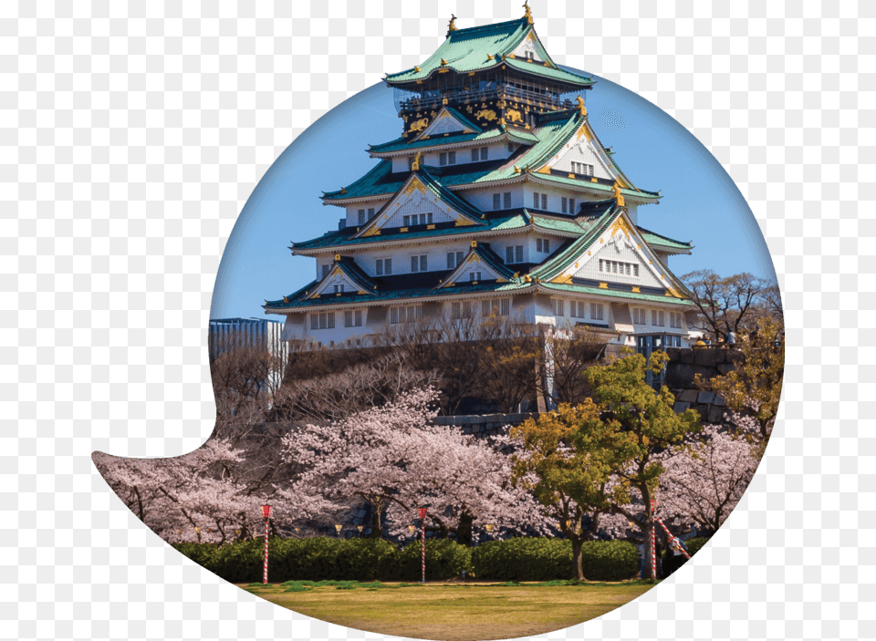 Utalk Japanese Osaka Castle, Architecture, Building, Photography, Flower Free Png