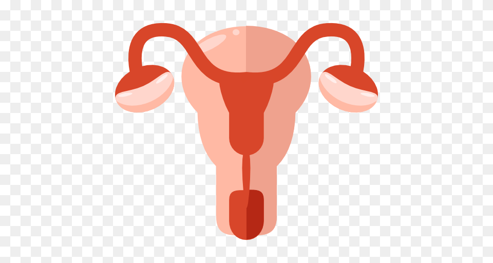 Uterus, Baby, Person, Cutlery, Spoon Png Image