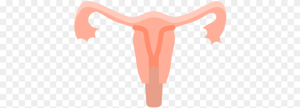 Uterus Icon Of Flat Style Uterus, Back, Body Part, Person, Smoke Pipe Png
