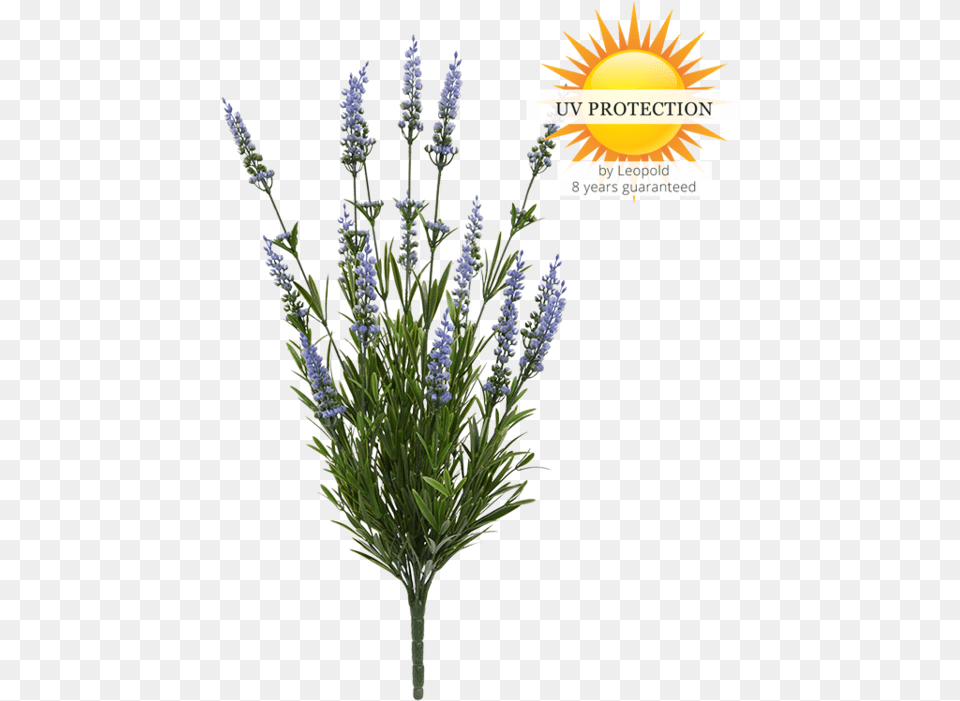 Uv Protect Artificial Lavender Bush 50 Cm Blue Outdoors Lavender, Flower, Grass, Plant, Herbal Png Image