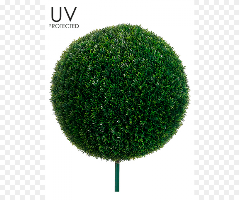 Uv Protected Tea Leaf Ball With 10quot Metal Pole Lawn, Fence, Hedge, Plant, Tree Free Transparent Png