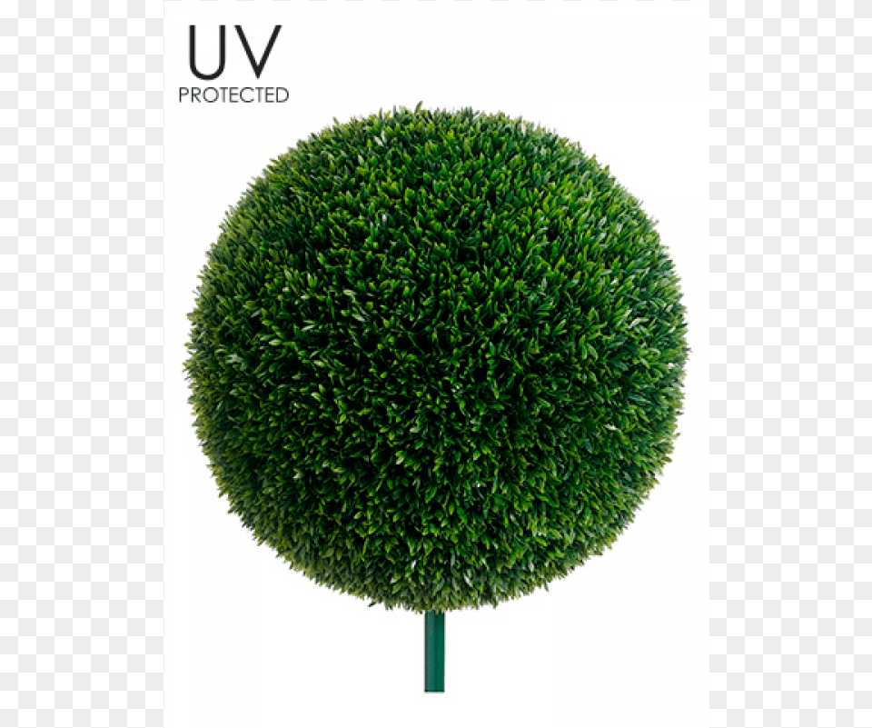 Uv Protected Tea Leaf Ball With 10quot Metal Pole Outdoor Tea Leaf Ball Topiary Green Pack, Plant, Tree, Vegetation, Fence Png