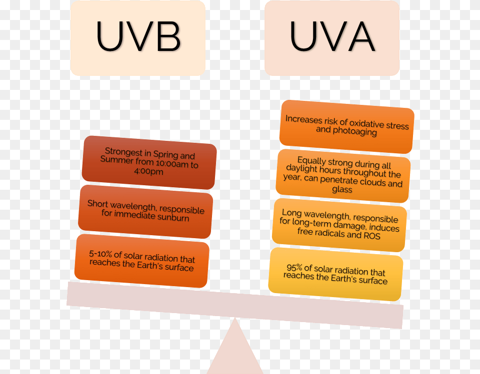 Uva Vs Uvb Comparison Triangle, Text Free Png