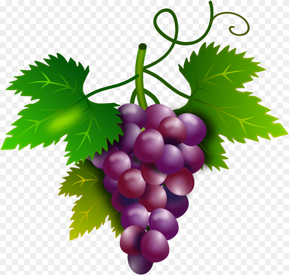 Uvas, Food, Fruit, Grapes, Plant Png