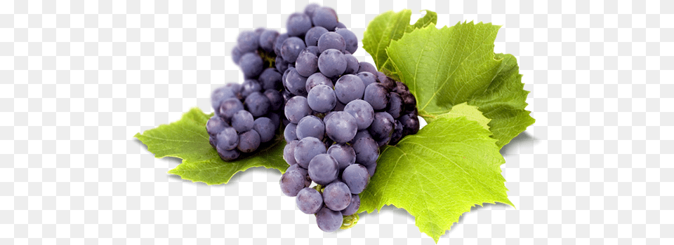 Uvas E Vinho Demeter Grape Leaf Cologne Spray, Food, Fruit, Grapes, Plant Png Image
