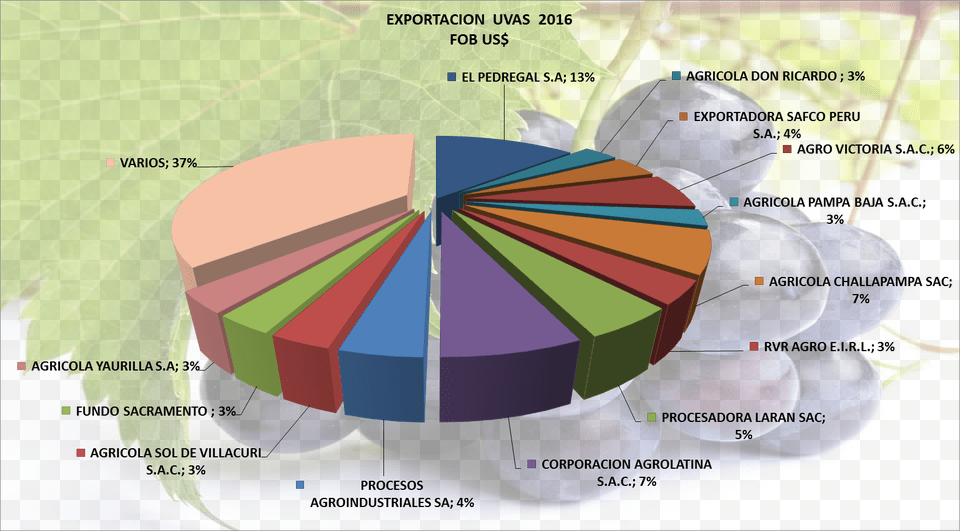 Uvas Frescas Per Exportacin 2016 Septiembre Exportacion De Uva Peruana 2016, Food, Fruit, Plant, Produce Png
