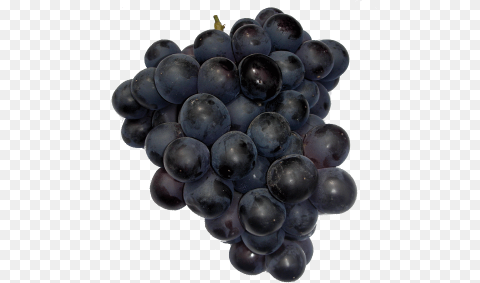 Uvas Negras Uva Negra 15 Kg, Food, Fruit, Grapes, Plant Free Png Download
