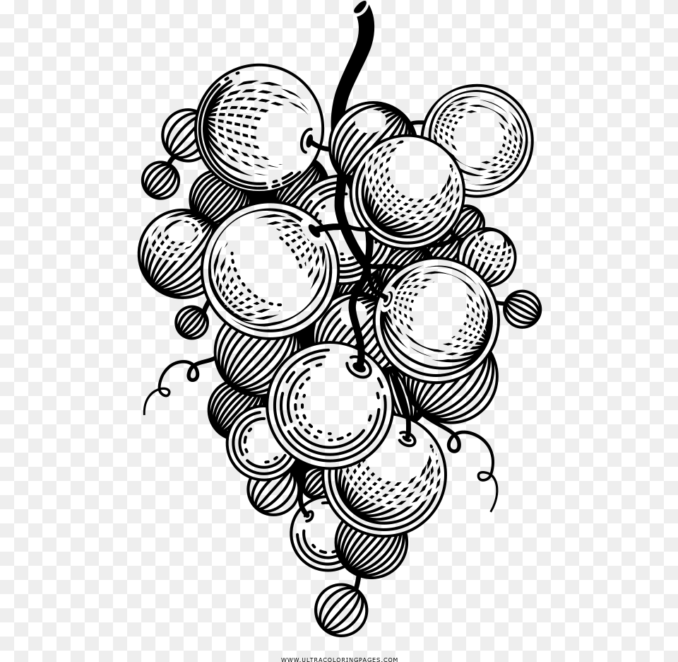 Uvas Pgina Para Colorear Grape Black White, Gray Png