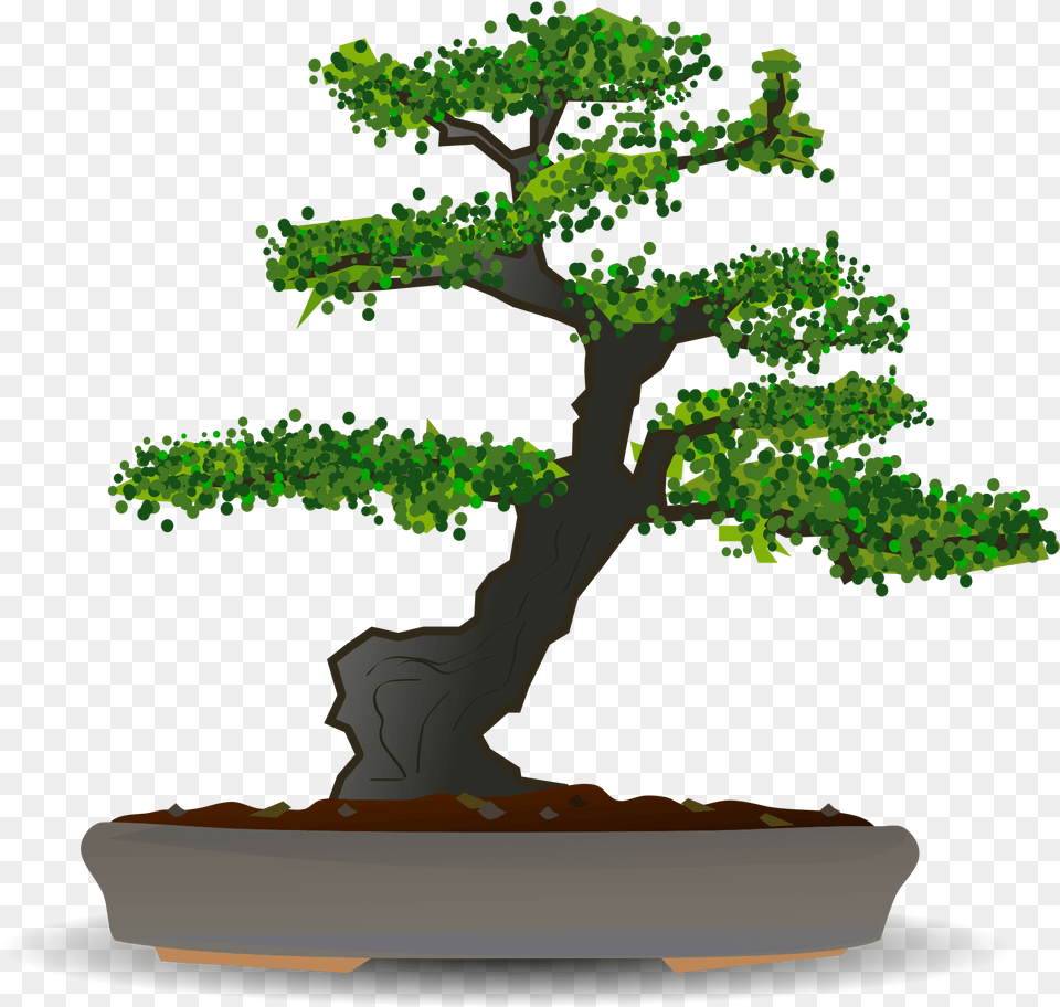 V 9 6 Photo Japanese Tree Bonsai Tree Vector Plant, Potted Plant Free Png Download