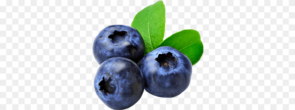 V Blueberry, Berry, Food, Fruit, Plant Png