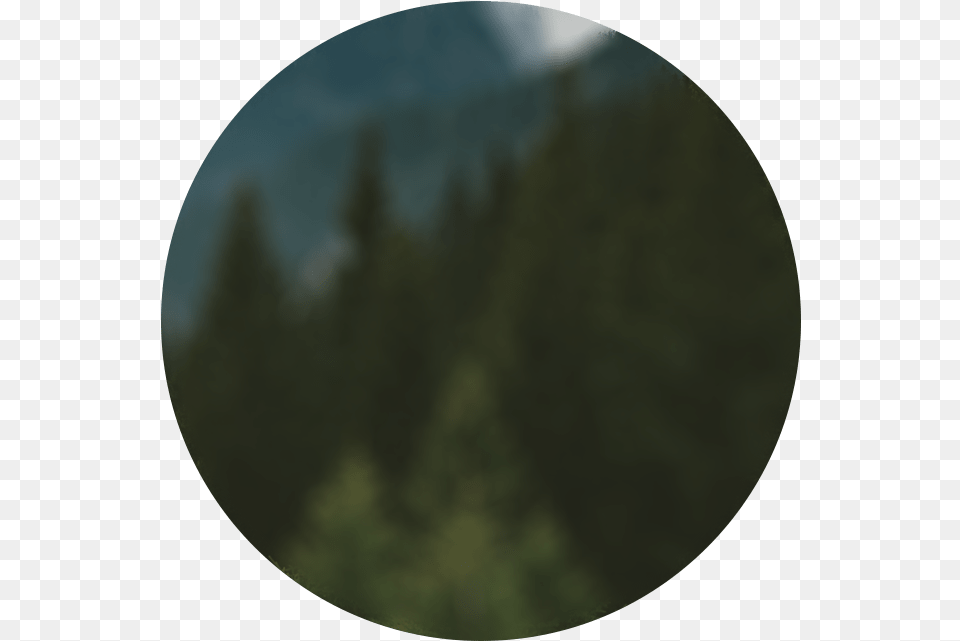 V Circle, Tree, Plant, Photography, Sphere Png