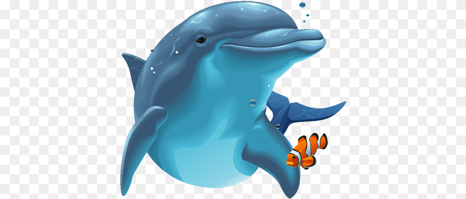 V Dolphin, Animal, Mammal, Sea Life, Baby Free Png