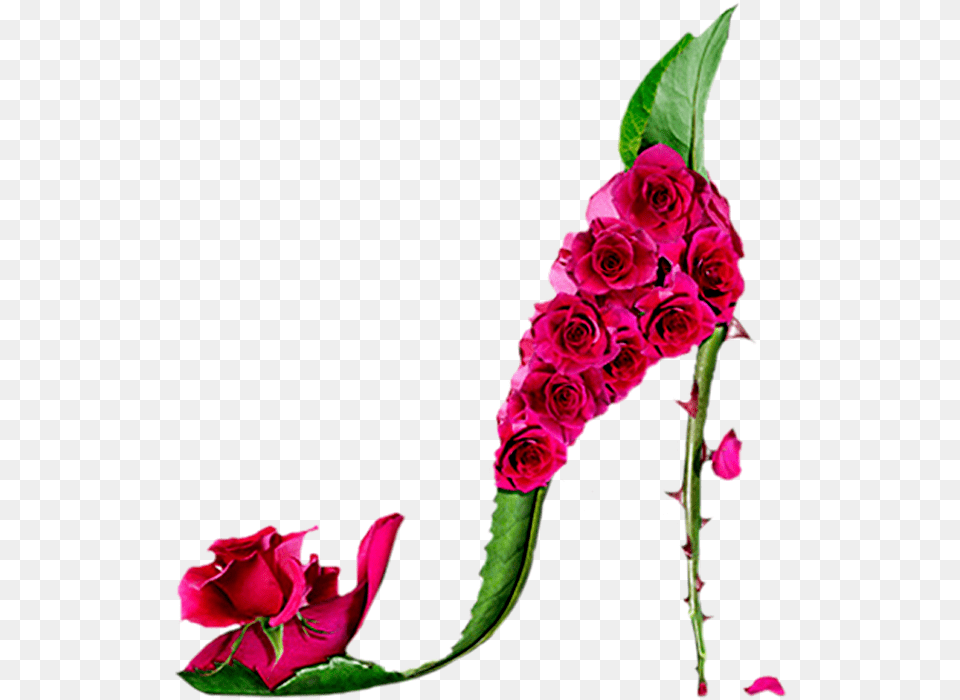 V Flower Shoes, Flower Arrangement, Flower Bouquet, Plant, Rose Png Image