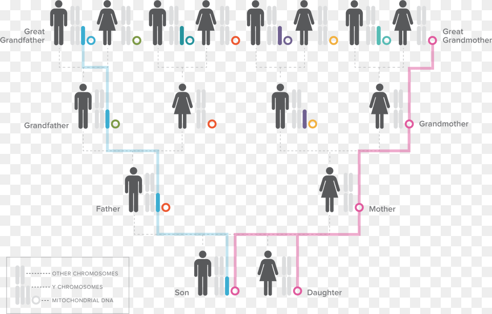 V Illustration2 Millennium Park, Person, Cad Diagram, Diagram, Scoreboard Free Png Download