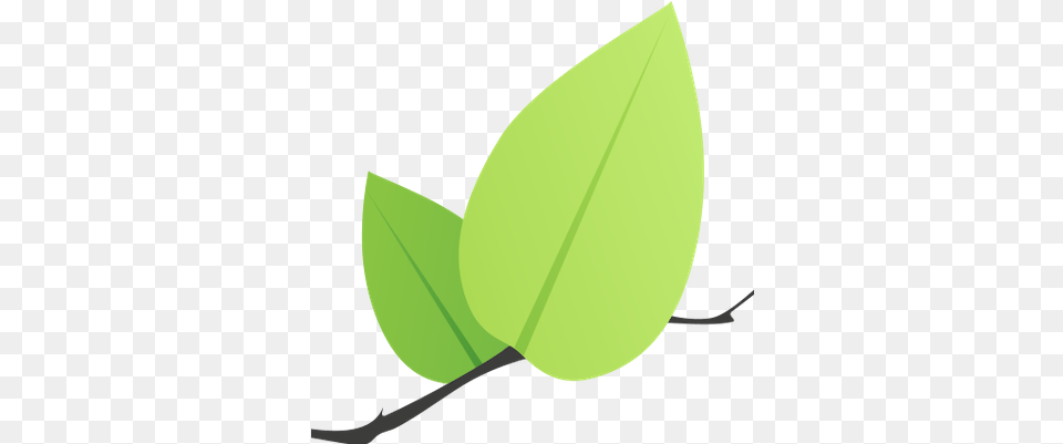 V Leafletjs Icon, Leaf, Plant Png