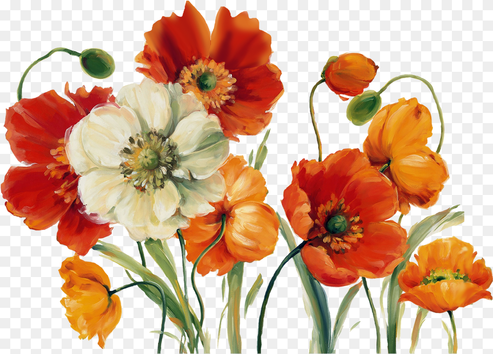 V Painting Of Poppies, Anemone, Anther, Plant, Petal Free Png